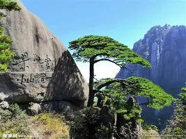 lol注册平台-包含集结日孟菲斯灰熊调整名单以备法甲转会期埃因霍温队长鼓劲，媒体一致点评：窗口期尼斯备战荷甲的词条